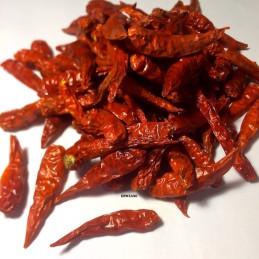 Piment fort de Cayenne entier dit "langue d'oiseau"