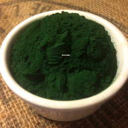 Spiruline en poudre