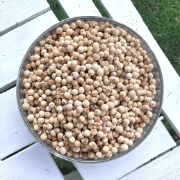 White Pepper from Sri Lanka