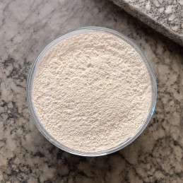 White Onion Powder