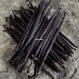 Vanilla Beans from Papua...