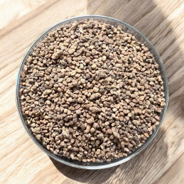 Shelled Green Cardamom Seeds