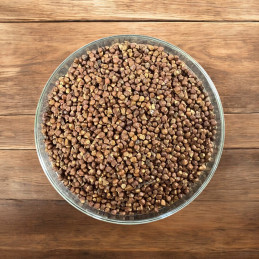 Melegueta Pepper (Grains of...