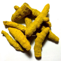 Curcuma entier