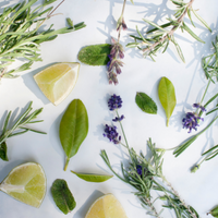 Fresh Herbs: Discover Our Selection of Fresh Aromatic Herbs.