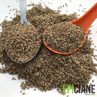 Spice Seeds: Explore our selection of aromatic seeds.